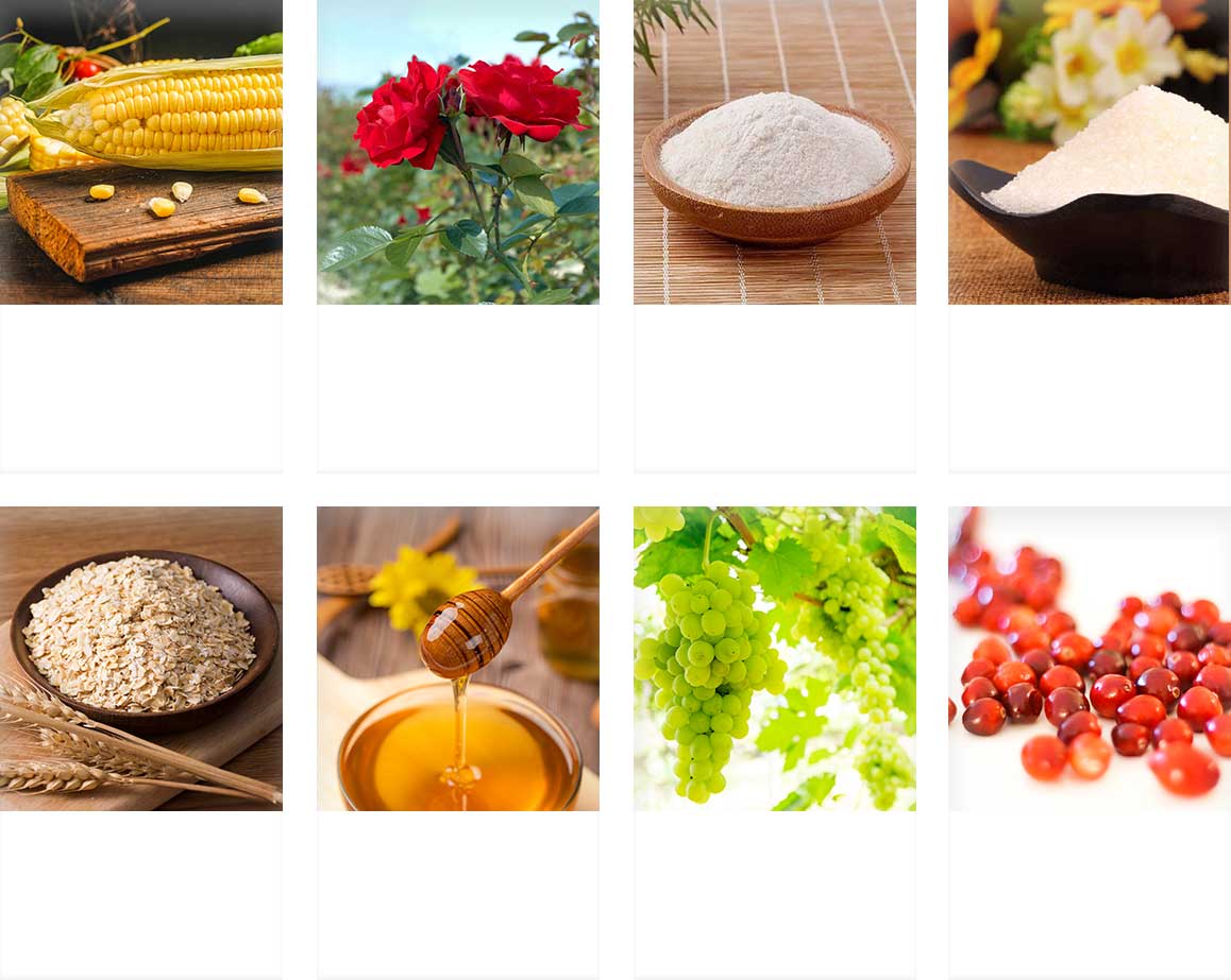 红球藻低聚肽玫瑰饮成分展示